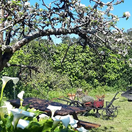Acogedora De 165 M2 En Ajardinada Totalmente Cerrada De 600 M2 *